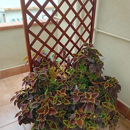 Bed & Breakfast A Casa Tua Affitti Brevi