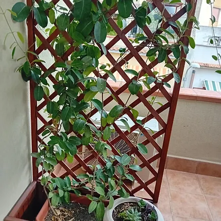 A Casa Tua Affitti Brevi Bed & Breakfast 4*